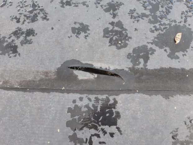 U halového objektu – Proboštov – jsme v červnu 2021 pracovali na hydroizolaci ploché střechy o rozloze 1500 m2. Plán prací: Nová hydroizolační vrstva z mechanicky kotvené TPO fólie Sarnafil TS 77-15. Dodávka včetně odvětrávacích hlavic Lomanco a nových střešních světlíků.…